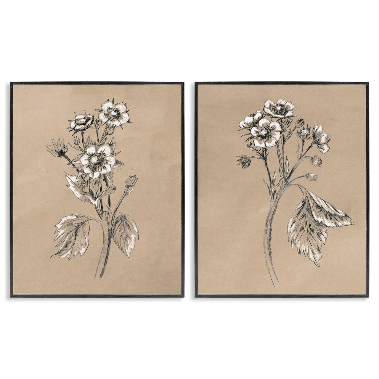 Stupell Industries Vintage Sketch Botanical 2 pc Framed Giclee Wall Art Set Design by June Erica Vess